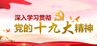 Detailed Performance Parameters of Red Clover Fertilizer Granule Packaging Machine